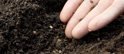 Sem nome (1600 × 700 px) (27)