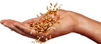 determinação de umidade em grãos (1600 x 700 px)