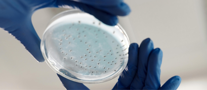 microbiologia de alimentos 2 (1600 x 700 px)