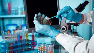 microbiologia-produtos-para-laboratorio