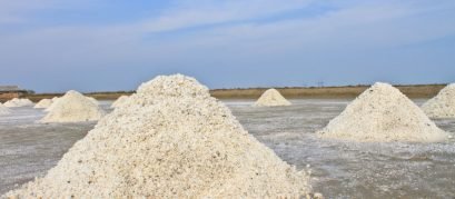 refratômetro para salinidade